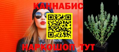 амф Севастополь