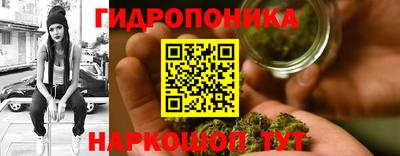 a pvp Свободный