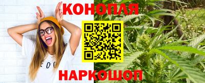 a pvp Свободный