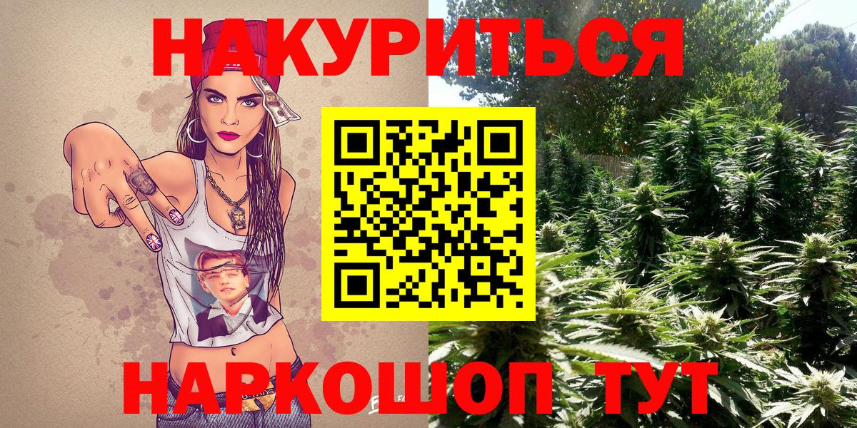 Конопля SATIVA & INDICA Моздок